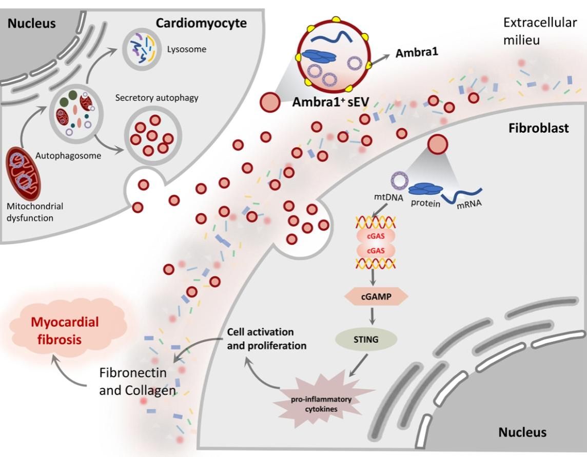 圖片2.jpg 圖片2.jpg