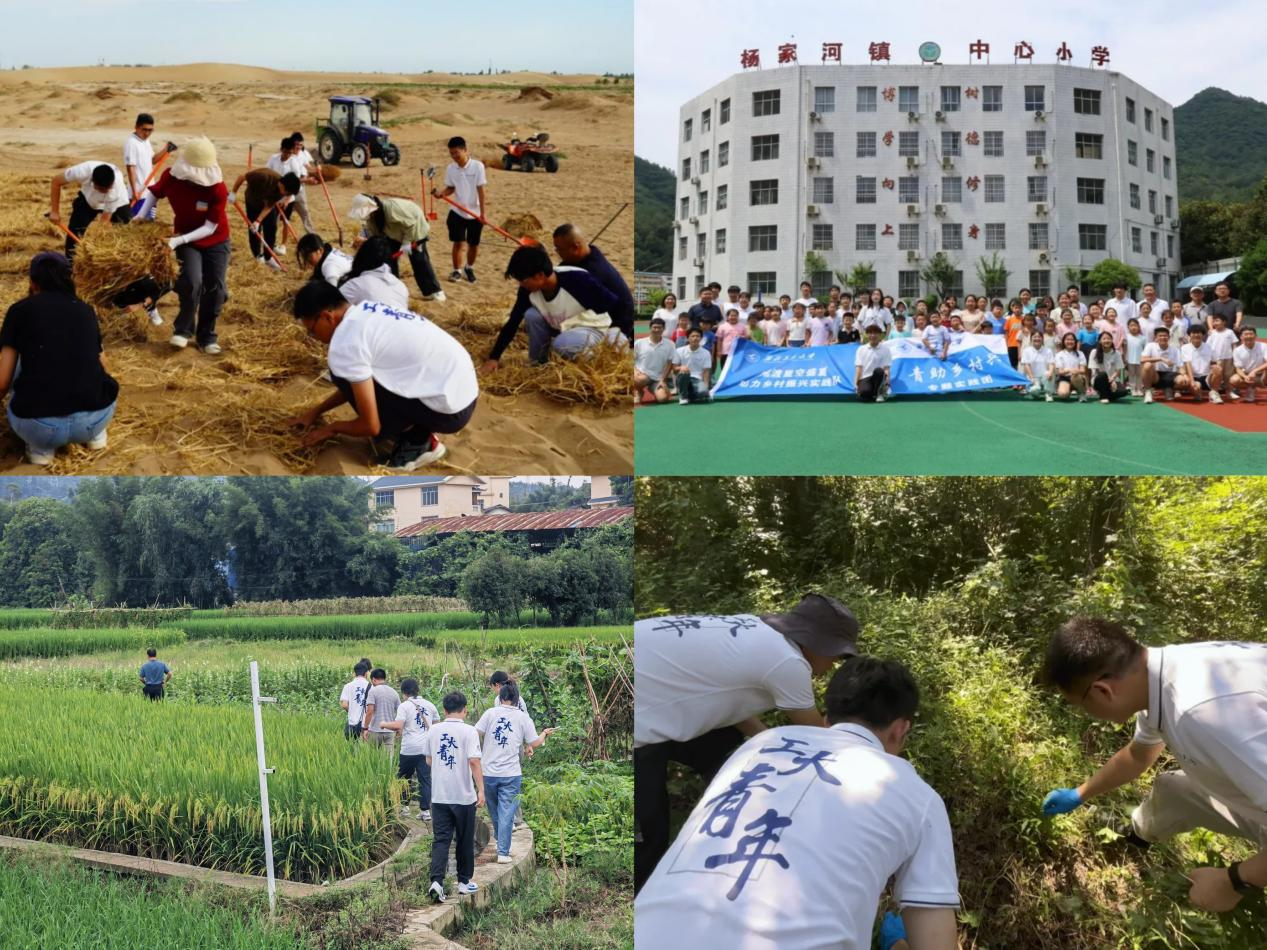 圖片7.png 圖片7.png