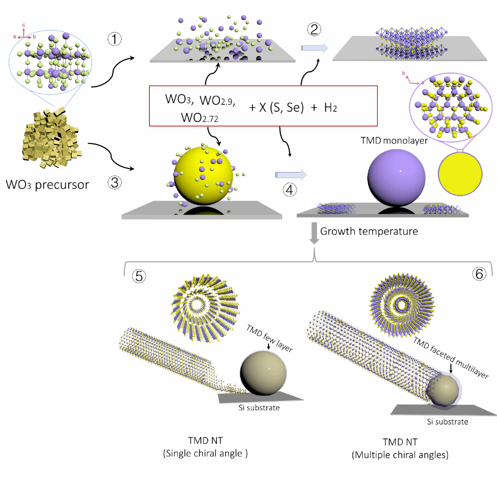 圖片2.png 圖片2.png