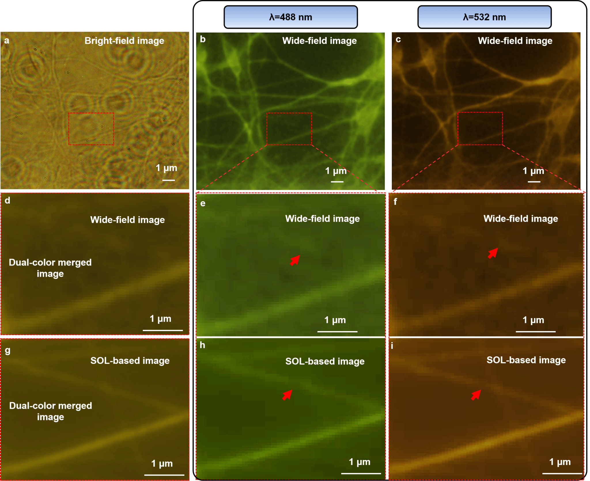 圖片41.png 圖片41.png